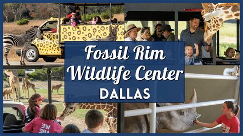 fossil rim tickets coupons.